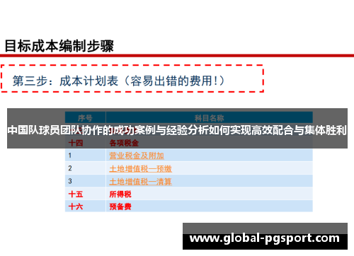 中国队球员团队协作的成功案例与经验分析如何实现高效配合与集体胜利