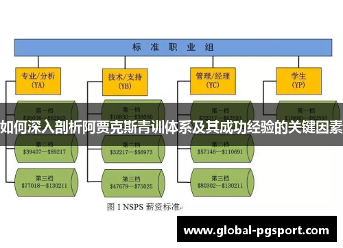 如何深入剖析阿贾克斯青训体系及其成功经验的关键因素