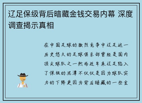 辽足保级背后暗藏金钱交易内幕 深度调查揭示真相