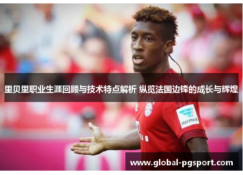 里贝里职业生涯回顾与技术特点解析 纵览法国边锋的成长与辉煌 里贝里职业生涯回顾与技术特点解析 纵览法国边锋的成长与辉煌